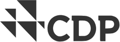 Marchio CDP, Carbon Disclosure Project